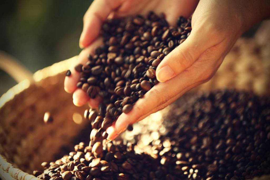 El mejor café en grano a granel para compra online