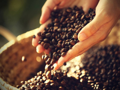 El mejor café en grano a granel para compra online